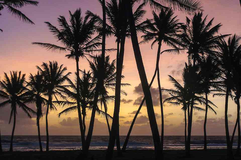 ETIAS for Marshallese Citizens featured image