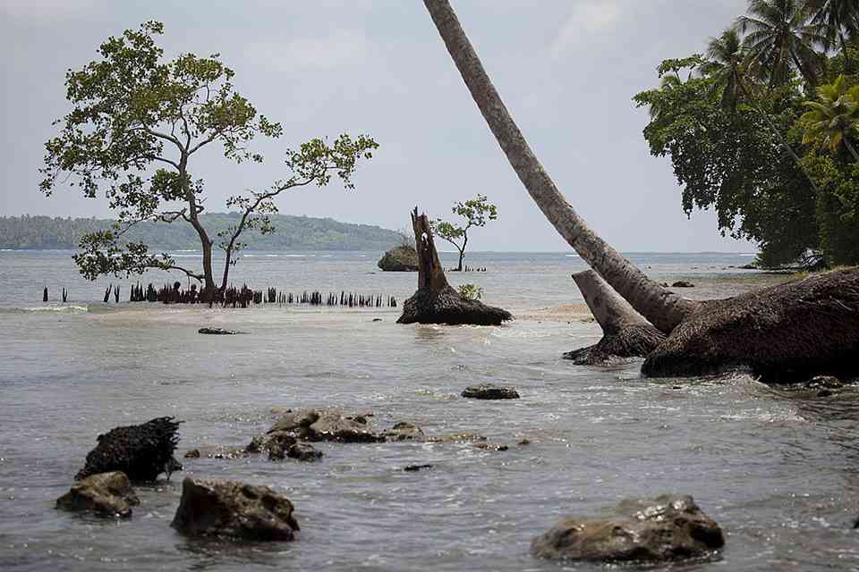 ETIAS for Solomon Islander Citizens featured image